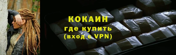 дживик Верхний Тагил