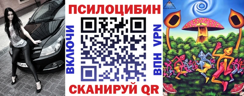 Псилоцибиновые грибы Cubensis  что такое   Лянтор 